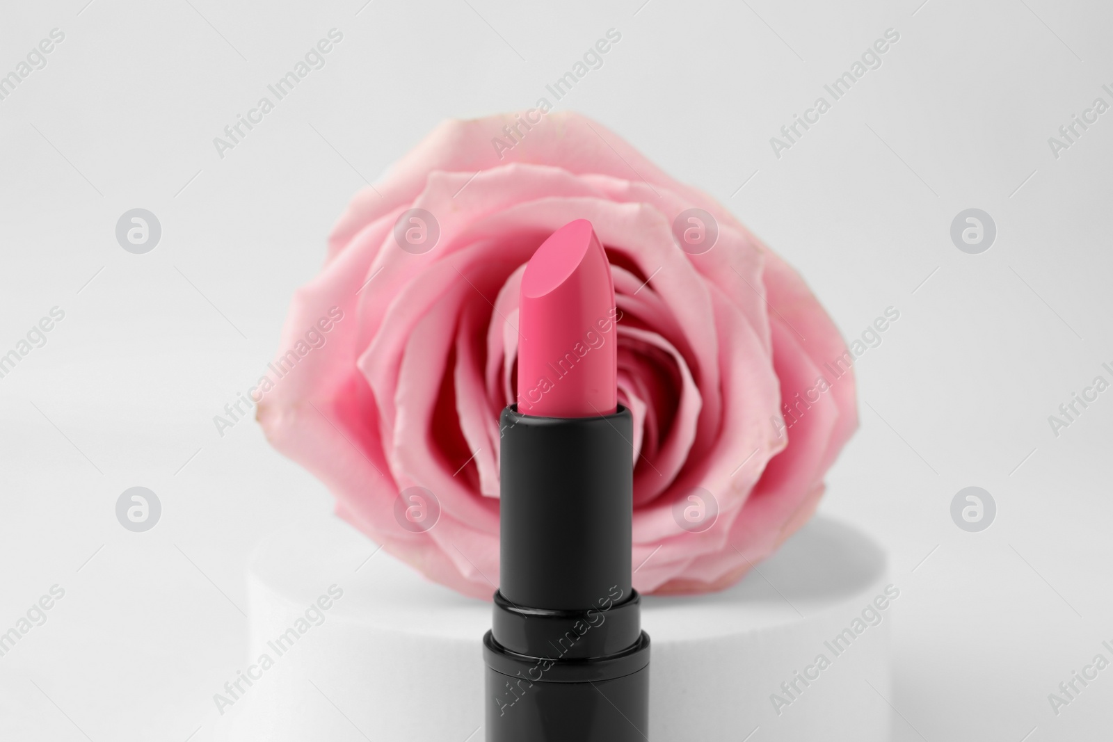 Photo of Beautiful pink lipstick and rose on white background