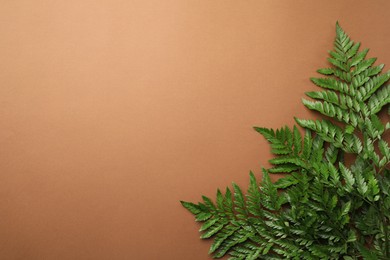 Photo of Beautiful tropical fern leaves on brown background, flat lay. Space for text