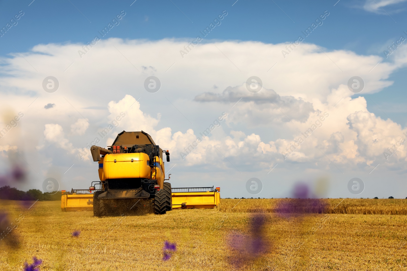 Photo of Modern combine harvester in field on sunny day. Agricultural machinery