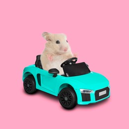 Image of Cute Syrian hamster in toy car on pink background