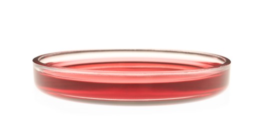 Petri dish with red liquid sample isolated on white