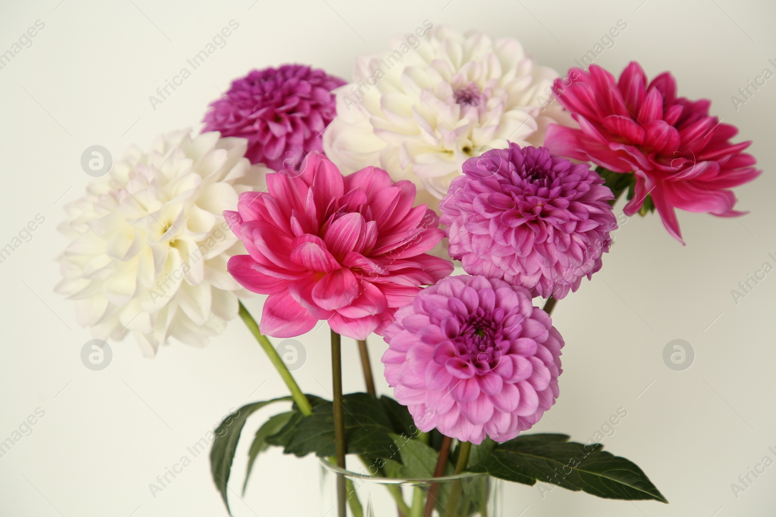 Photo of Bouquet of beautiful Dahlia flowers near white wall, closeup