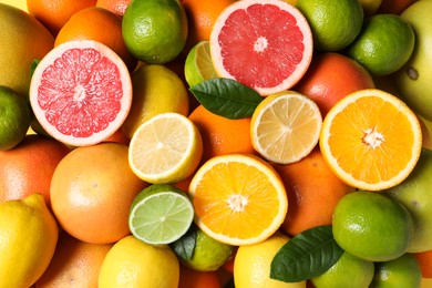 Different fresh citrus fruits and leaves as background, top view