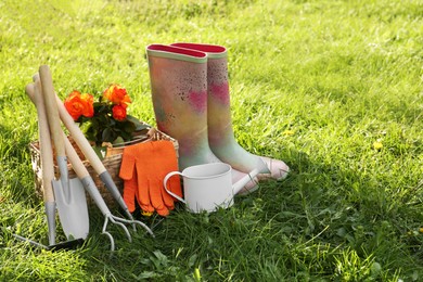 Photo of Pair of gloves, gardening tools, blooming rose bush and rubber boots on grass outdoors, space for text