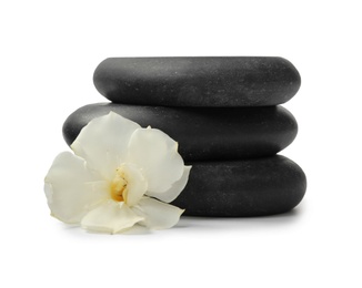 Stack of black spa stones and fresh flower on white background