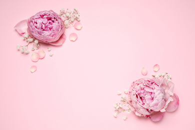 Photo of Beautiful floral composition with peonies on pink background, flat lay. Space for text