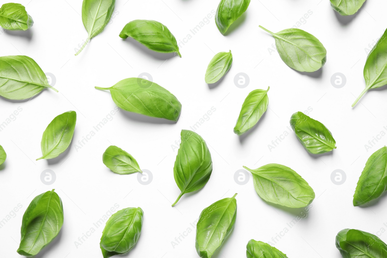 Photo of Fresh green basil leaves on white background, top view