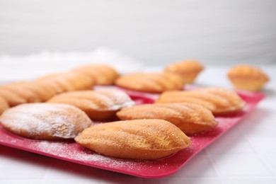 Delicious madeleine cookies in baking mold on white table, closeup