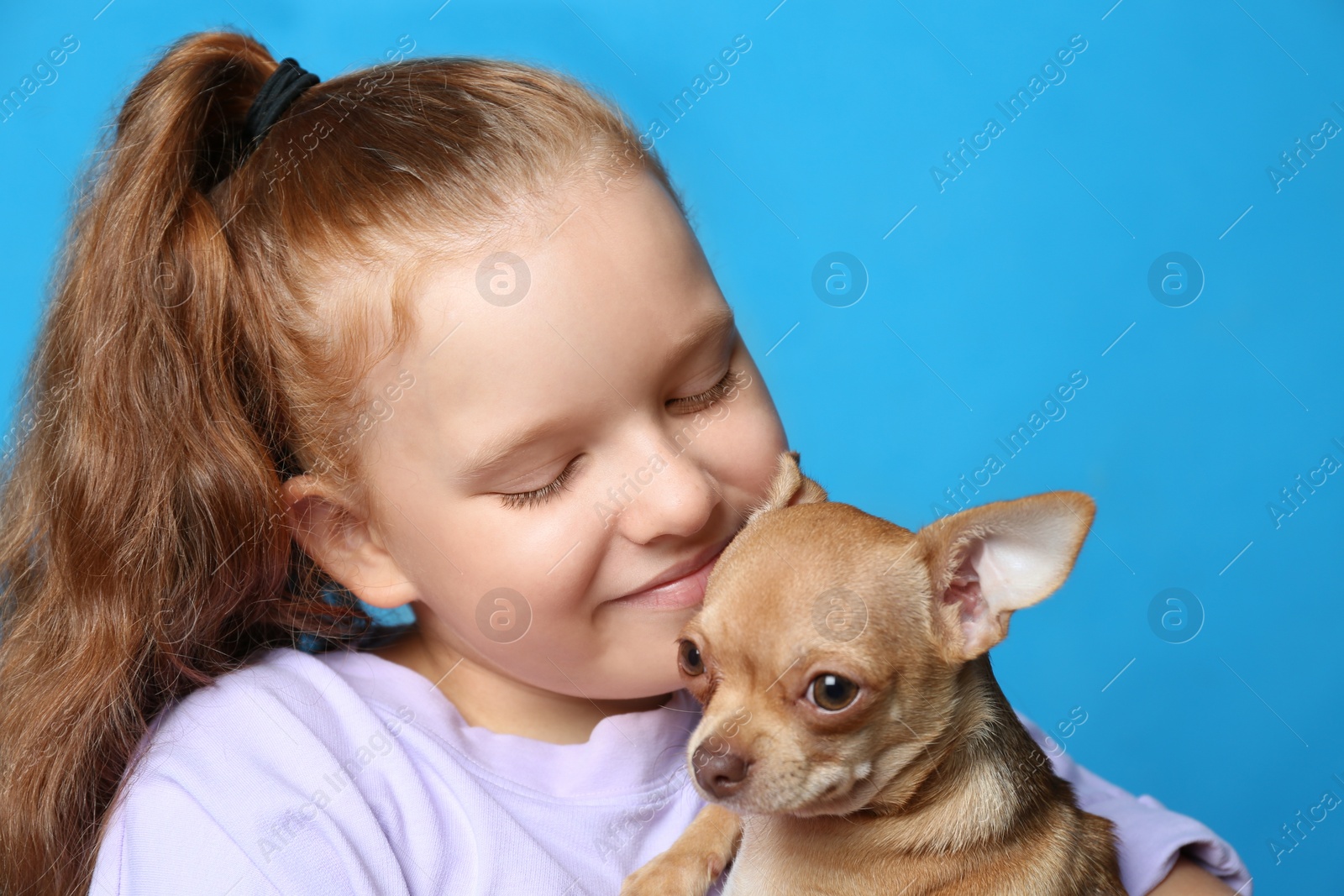 Photo of Little girl with her Chihuahua dog on light blue background, closeup. Childhood pet