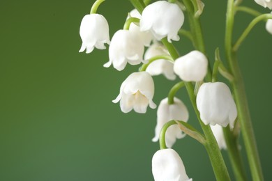 Photo of Beautiful lily of the valley flowers on blurred green background, closeup. Space for text