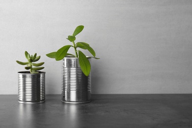 Beautiful houseplants in tin cans on grey stone table, space for text