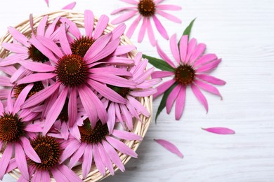 Photo of Beautiful echinacea flowers on white wooden table, flat lay