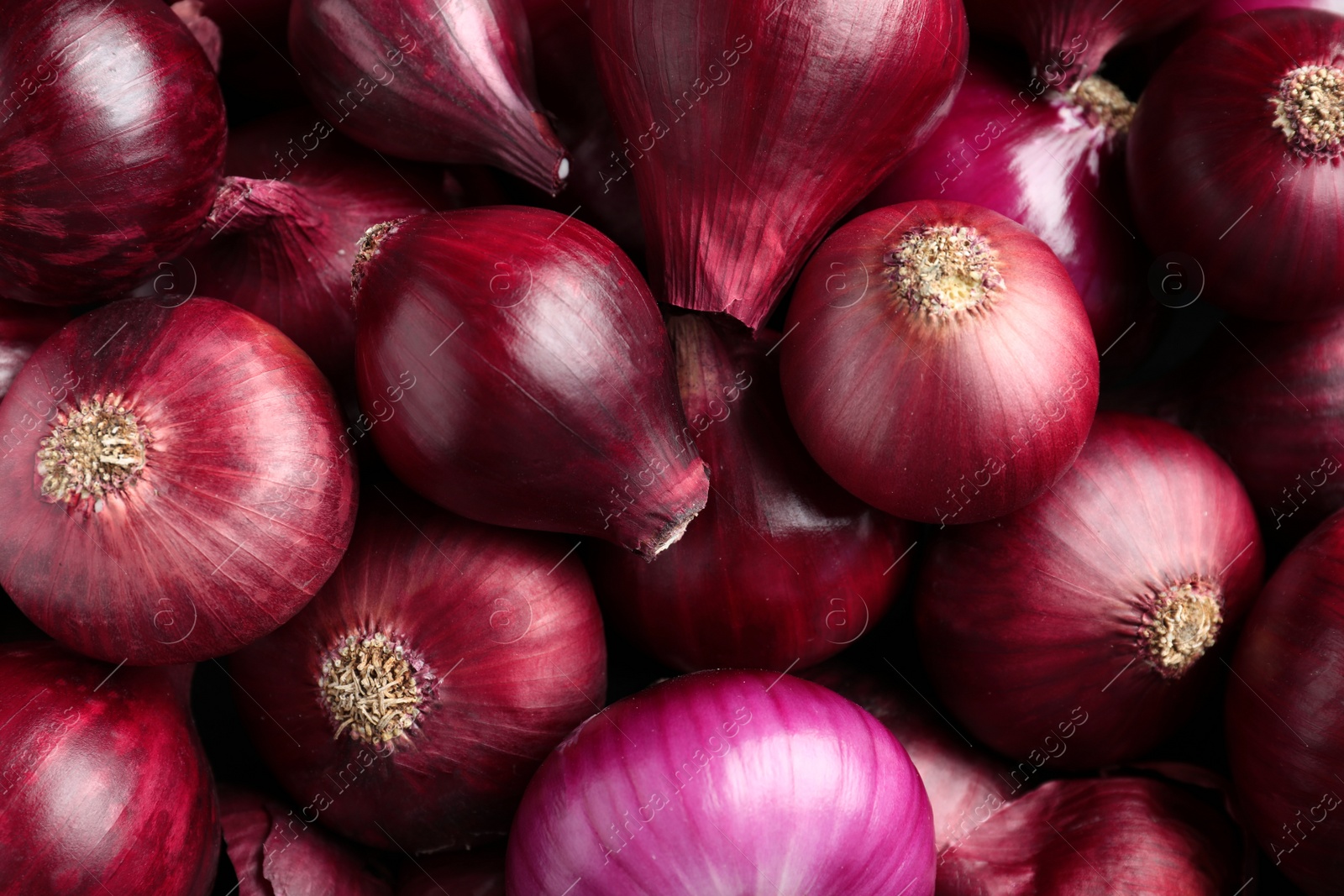 Photo of Bright red ripe onions as background, top view