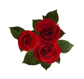 Image of Beautiful red roses with green leaves on white background
