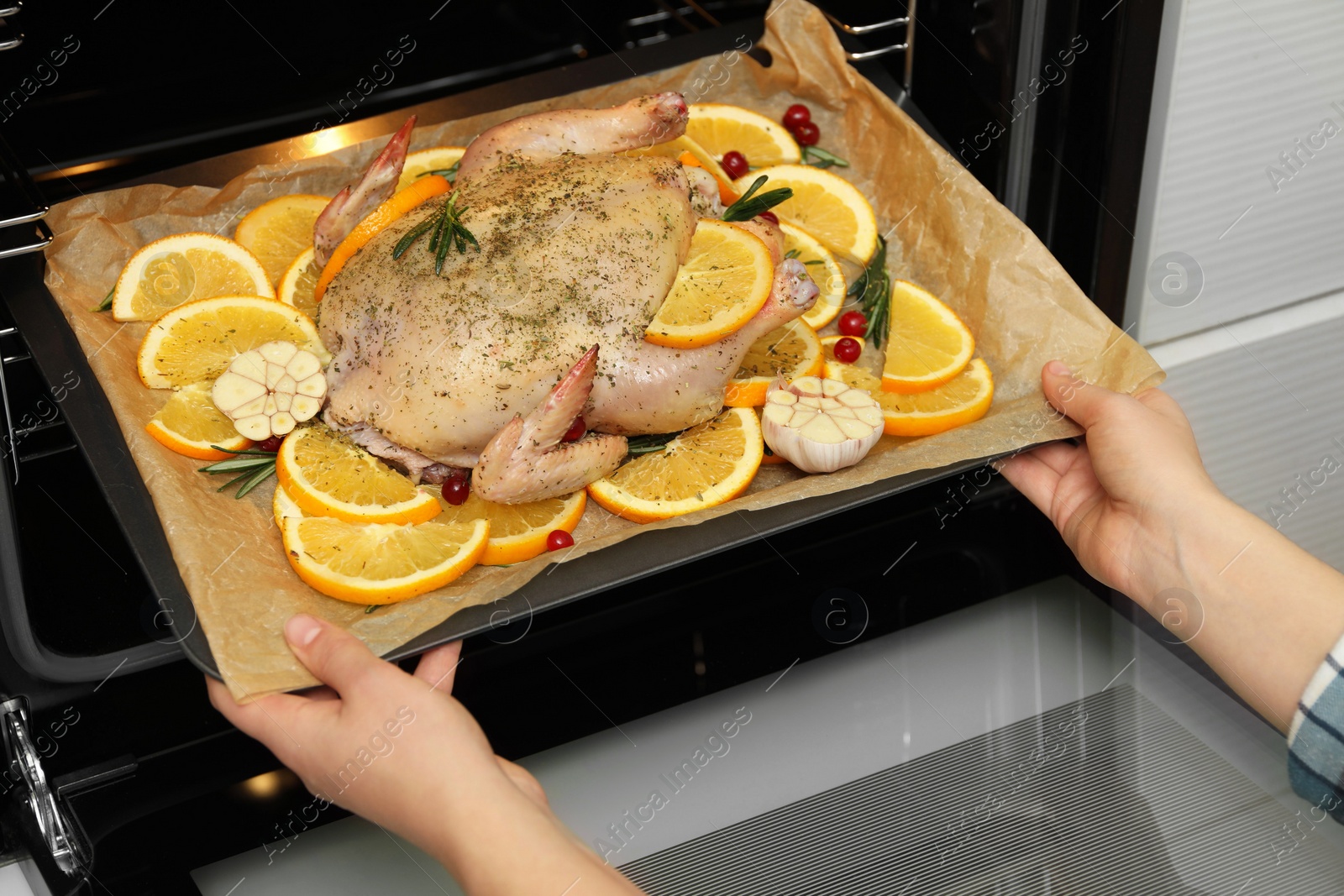 Photo of Woman putting chicken with orange slices into oven, closeup