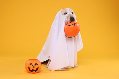 Cute Labrador Retriever dog wearing ghost costume with Halloween buckets on orange background