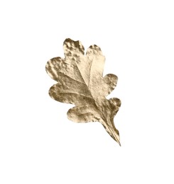 One golden oak leaf isolated on white. Autumn season