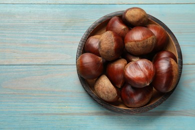 Roasted edible sweet chestnuts on light blue wooden table, top view. Space for text