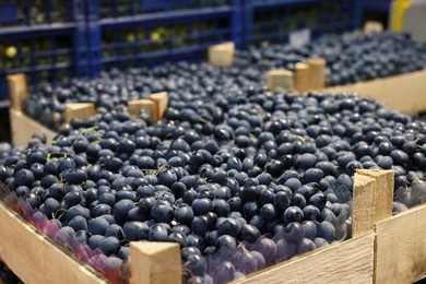 Photo of Fresh ripe grapes in wooden crates at wholesale market