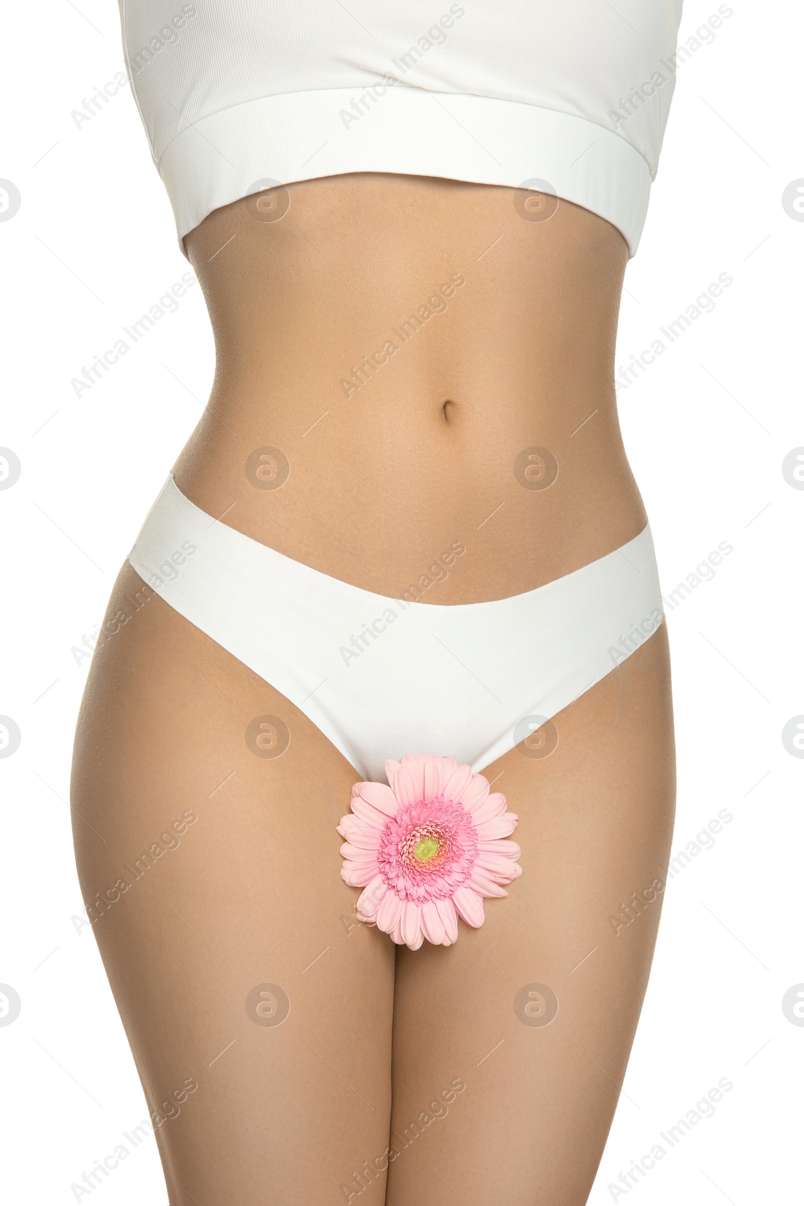 Photo of Gynecology. Woman in underwear with gerbera flower on white background, closeup