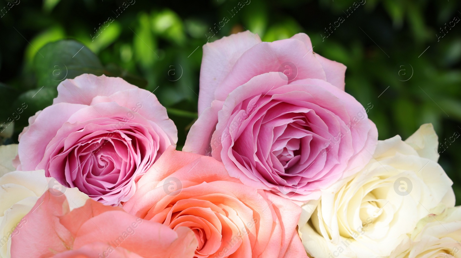 Photo of Beautiful bouquet of roses on light grey table outdoors, closeup