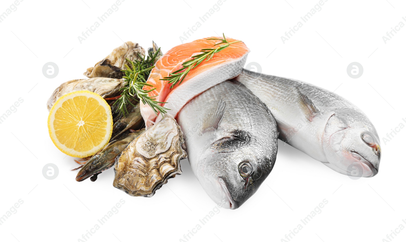 Photo of Fresh dorado fish, salmon and oysters on white background