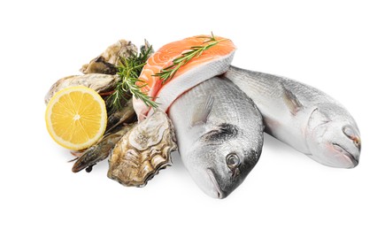 Photo of Fresh dorado fish, salmon and oysters on white background