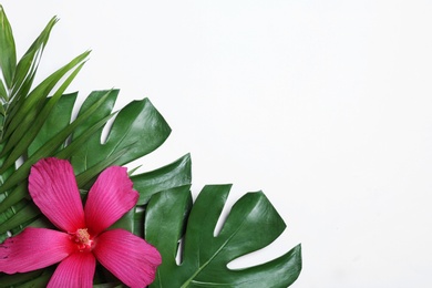 Photo of Flat lay composition with tropical leaves and Hibiscus flower on white background. Space for text