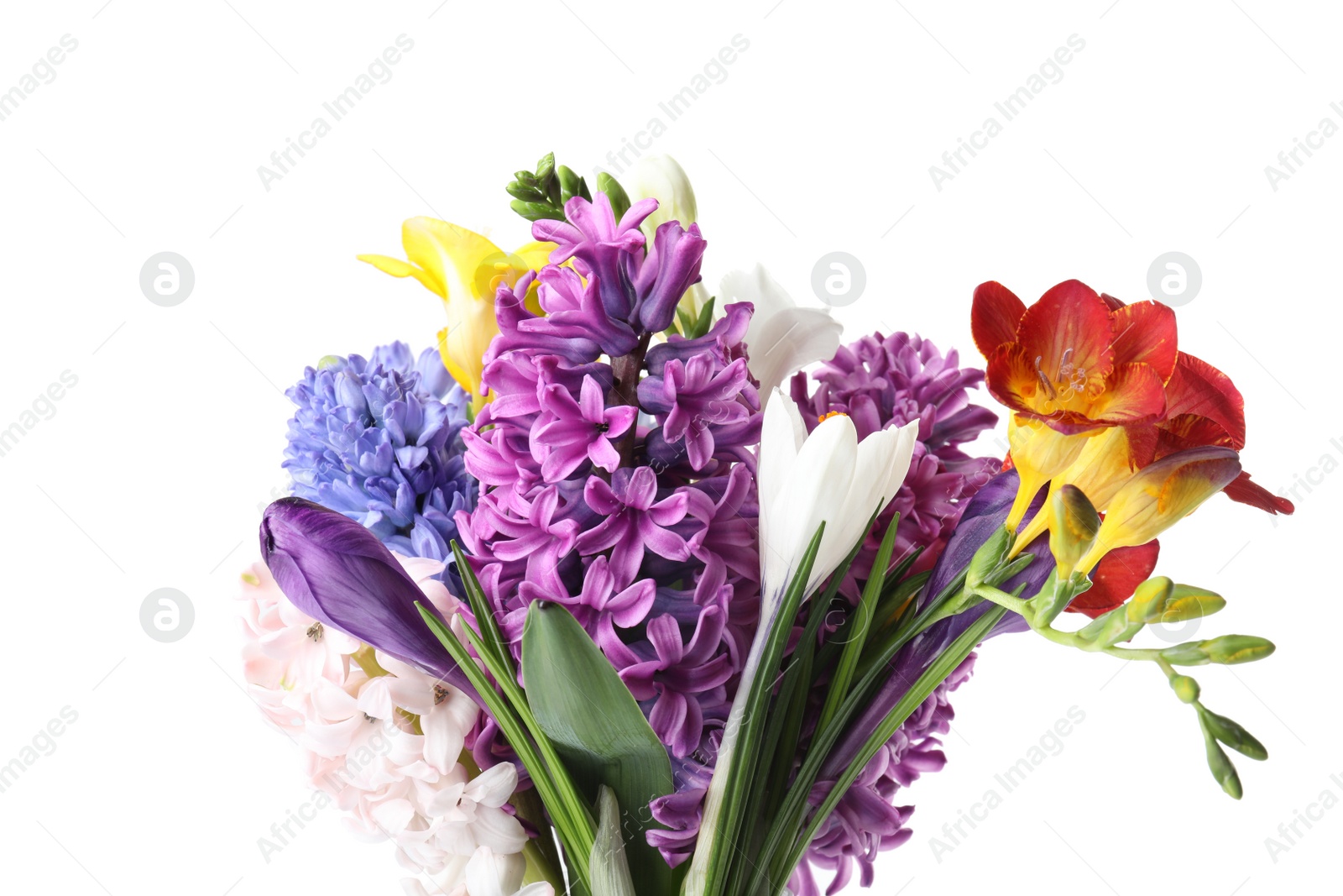 Photo of Bouquet of beautiful spring flowers on white background