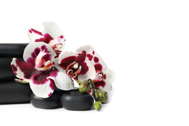 Photo of Spa stones and orchid flowers on white background