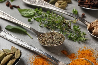 Photo of Different herbs and spices with spoons on grey table, closeup