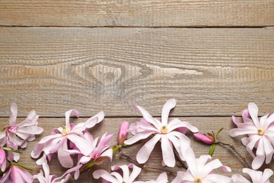 Photo of Magnolia tree branches with beautiful flowers on wooden table, flat lay. Space for text