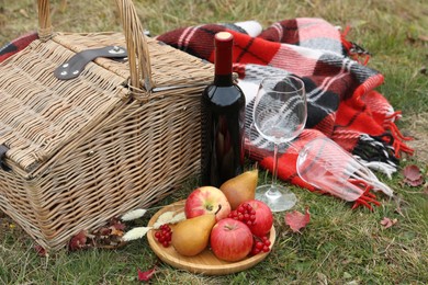 Wicker picnic basket, wine, snacks and plaid outdoors on autumn day