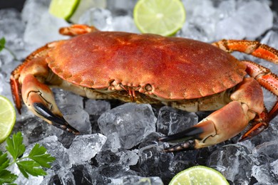Photo of Delicious boiled crab, lime, parsley and ice on table, closeup