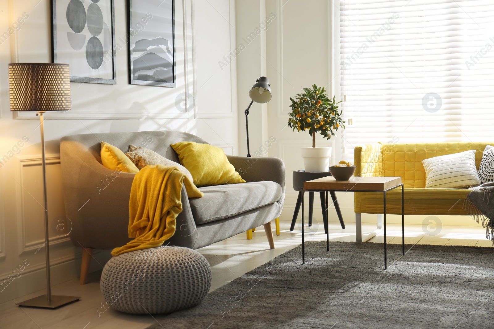 Photo of Stylish living room with sofas. Interior design in grey and yellow colors