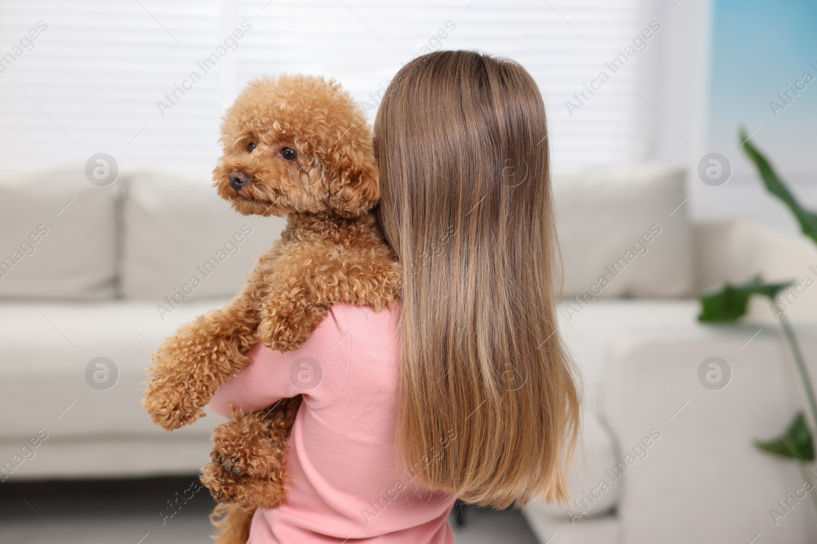 Photo of Little child with cute puppy at home, back view. Lovely pet