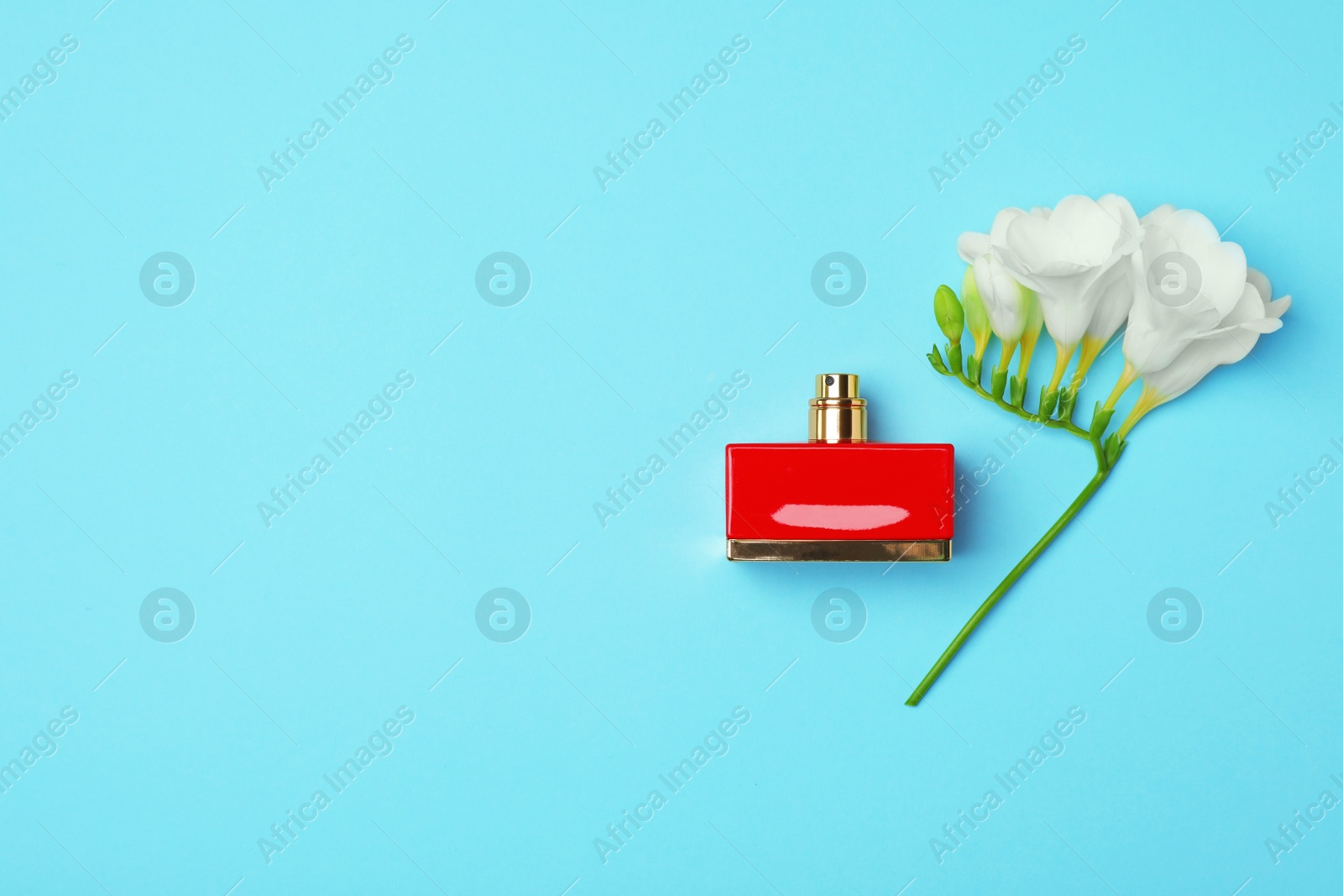 Photo of Bottle of perfume and flower on color background, top view