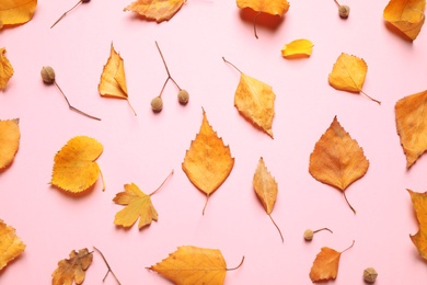 Photo of Beautiful composition with autumn leaves on pink background, flat lay
