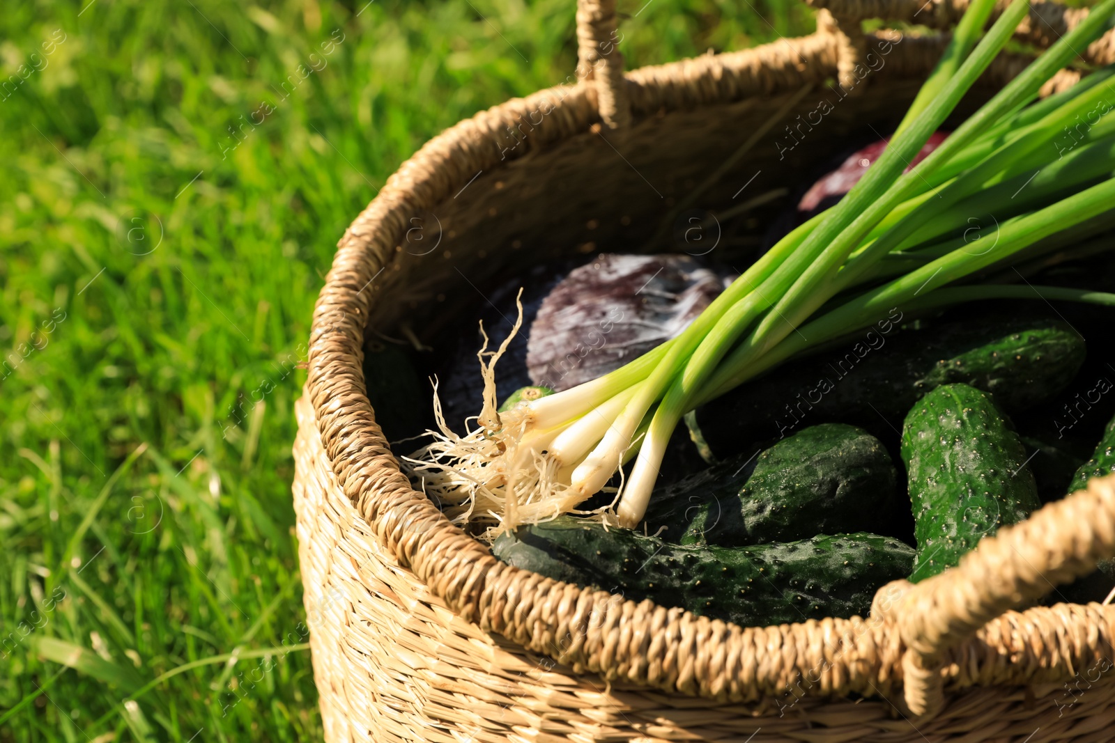 Photo of Tasty vegetables in wicker basket on green grass, closeup