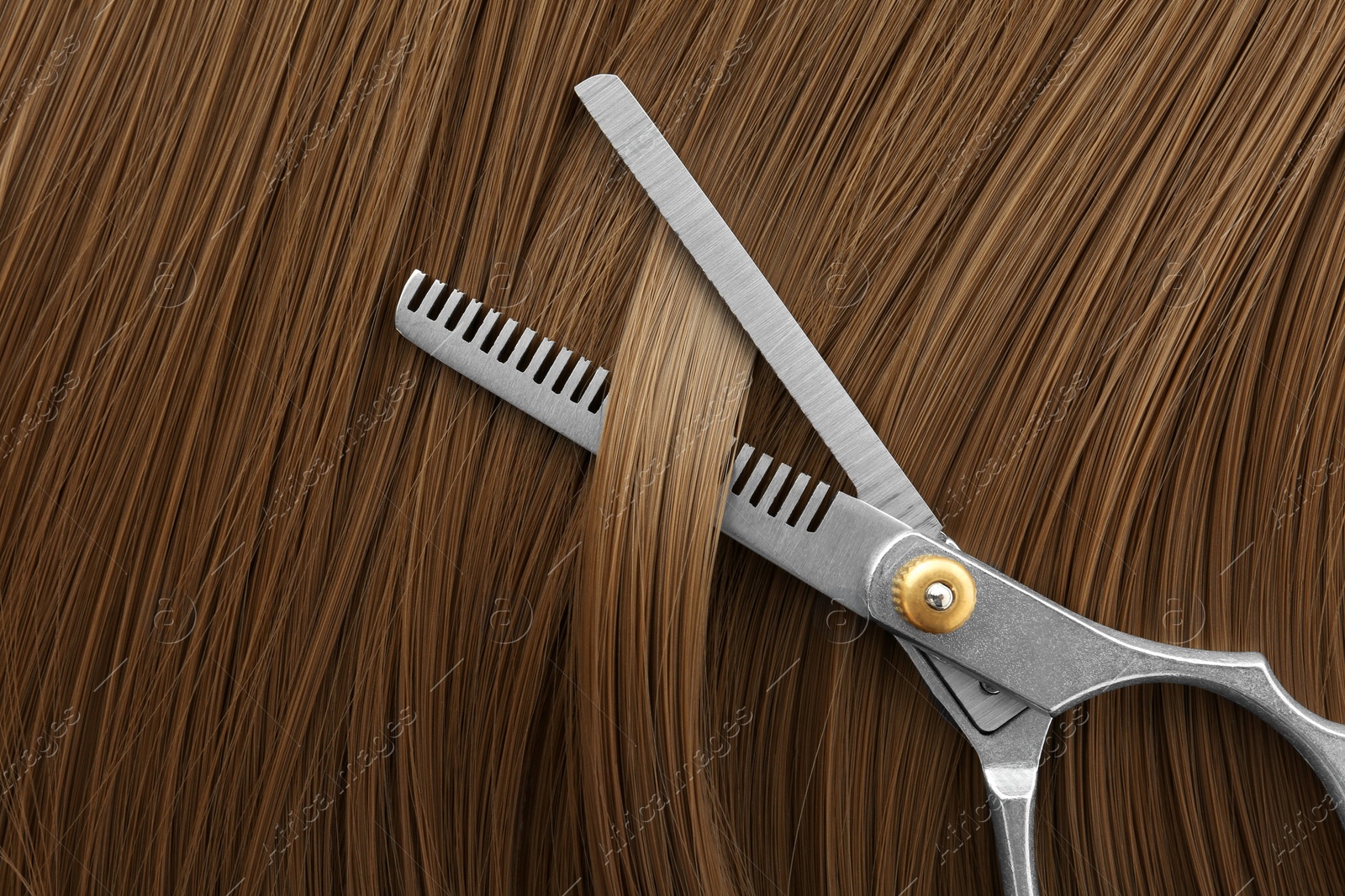 Photo of Thinning scissors on light brown hair, top view. Hairdresser service