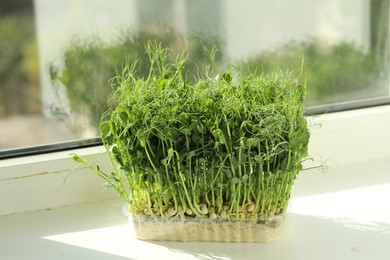 Photo of Fresh pea microgreen growing in plastic container on windowsill indoors