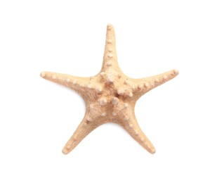Beautiful sea star (starfish) isolated on white, top view