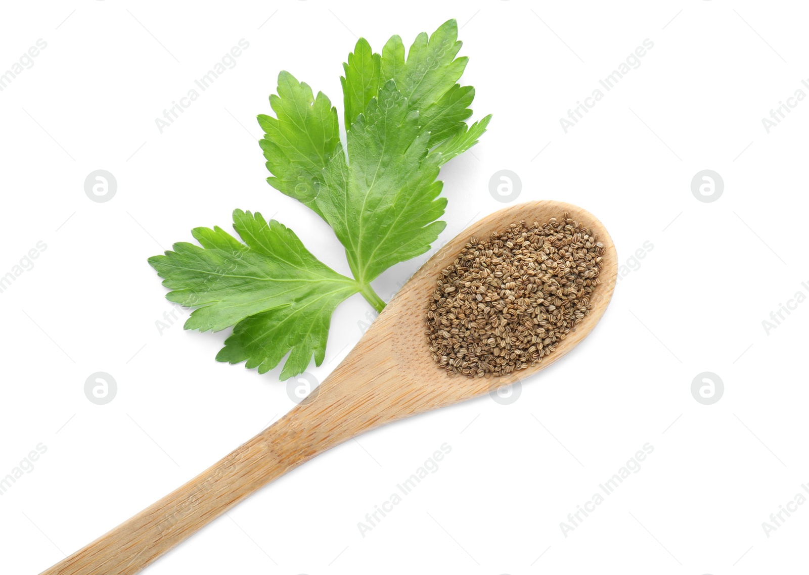 Photo of Spoon of celery seeds and fresh plant isolated on white, top view