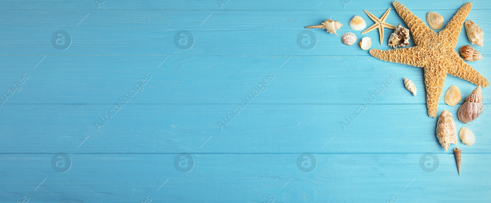 Image of Flat lay composition with beautiful starfishes and sea shells on blue wooden table, space for text. Banner design