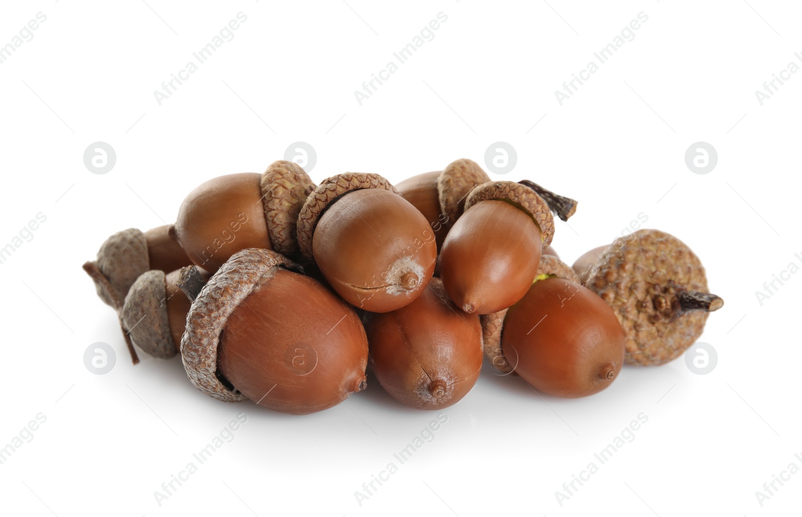 Photo of Pile of brown acorns on white background