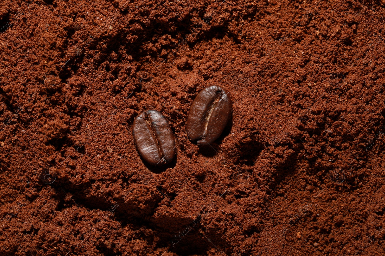 Photo of Roasted beans on ground coffee, flat lay