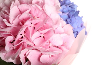 Photo of Bouquet with beautiful hortensia flowers on white background, closeup