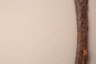 Photo of Tree branch on beige background, top view. Space for text