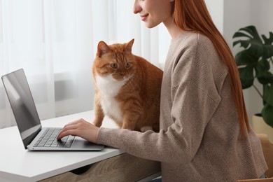 Photo of Woman with cat working at desk, closeup. Home office
