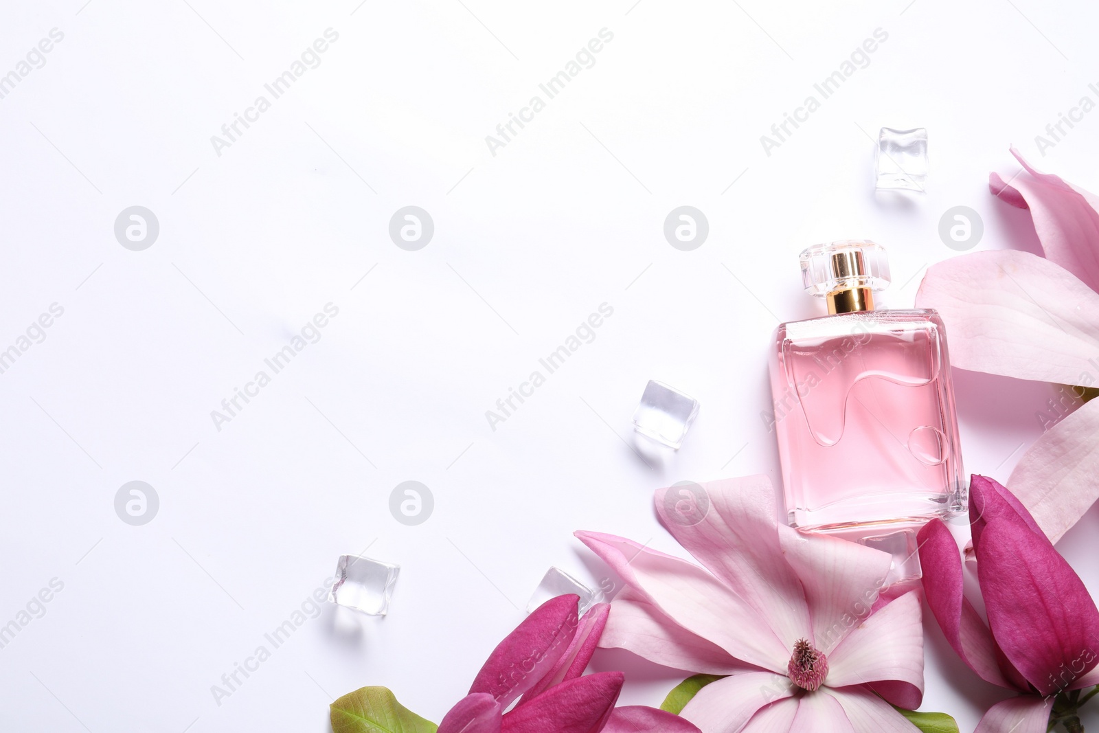 Photo of Beautiful pink magnolia flowers, bottle of perfume and ice cubes on white background, flat lay. Space for text